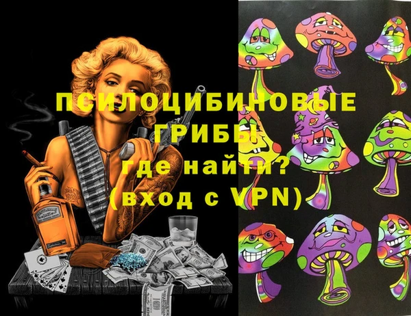 марки lsd Абаза