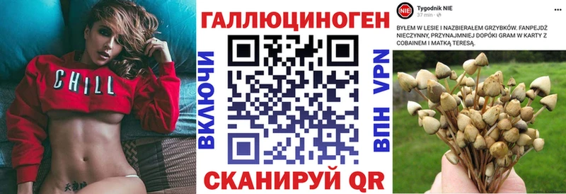 Галлюциногенные грибы Magic Shrooms  Сорочинск 